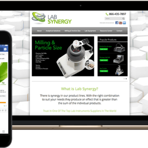 Lab Synergy website