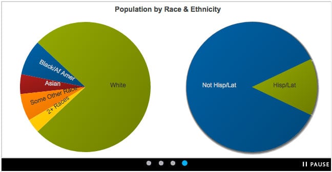 MyBestSegments ethnicity chart
