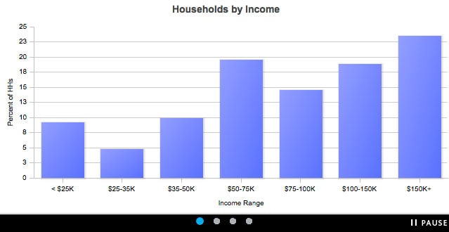 MyBestSegments income chart